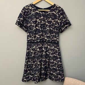 Vince Camuto Navy and Cream Lace Dress